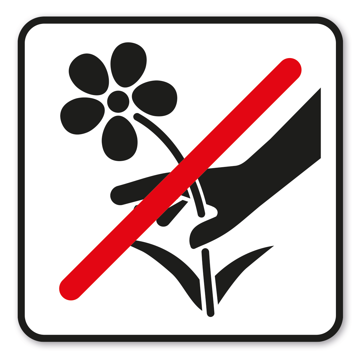 SP-03-P07 – GF-P07 – Das Pflücken von Pflanzen ist verboten