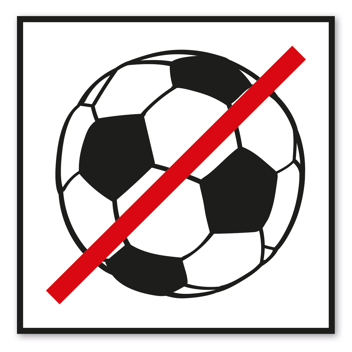SP-04-P10 – Fußballspielen verboten