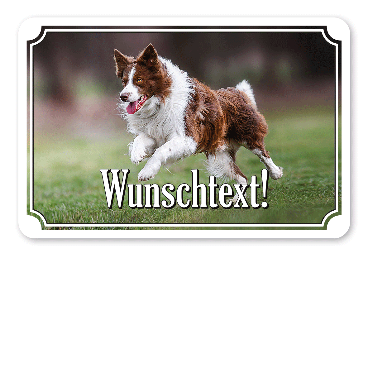 Hundeschild mit Ihrem Photo und Wunschtext in 5 Farbvarianten - Querformat