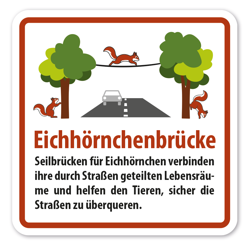 Hinweisschild Eichhörnchenbrücke - Seilbrücken für Eichhörnchen verbinden ihre durch Straßen geteilte Lebensräume und helfen den Tieren, sicher die Straßen zu überqueren