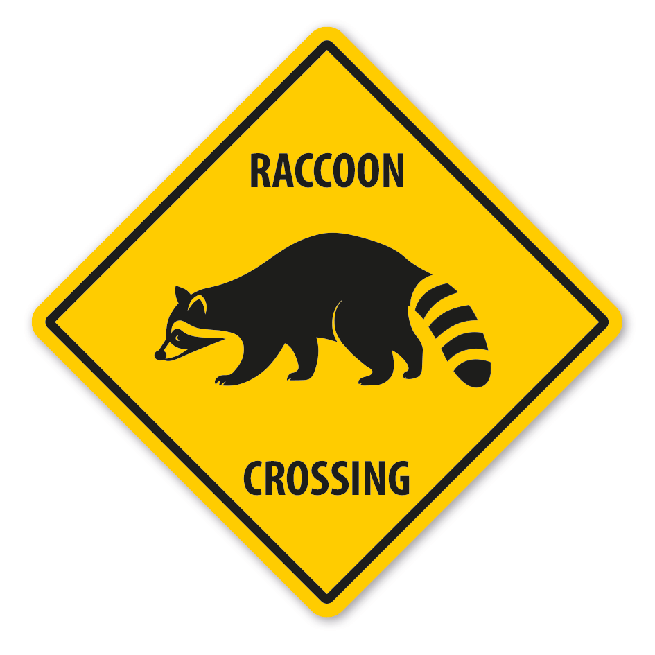 Warnschild Raccoon (Waschbär) crossing - mit und ohne Text