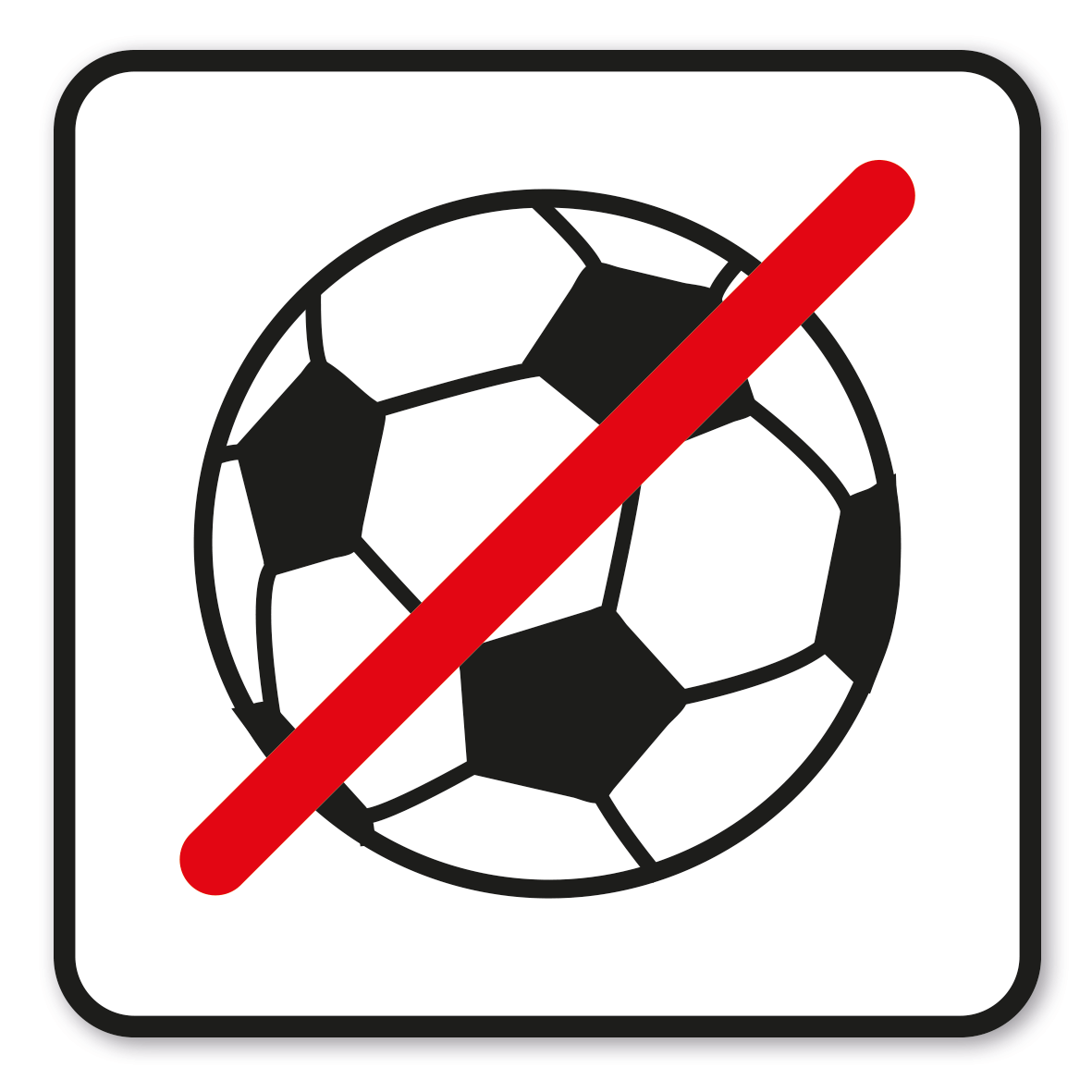 SP-02-P12 – Fußballspielen verboten