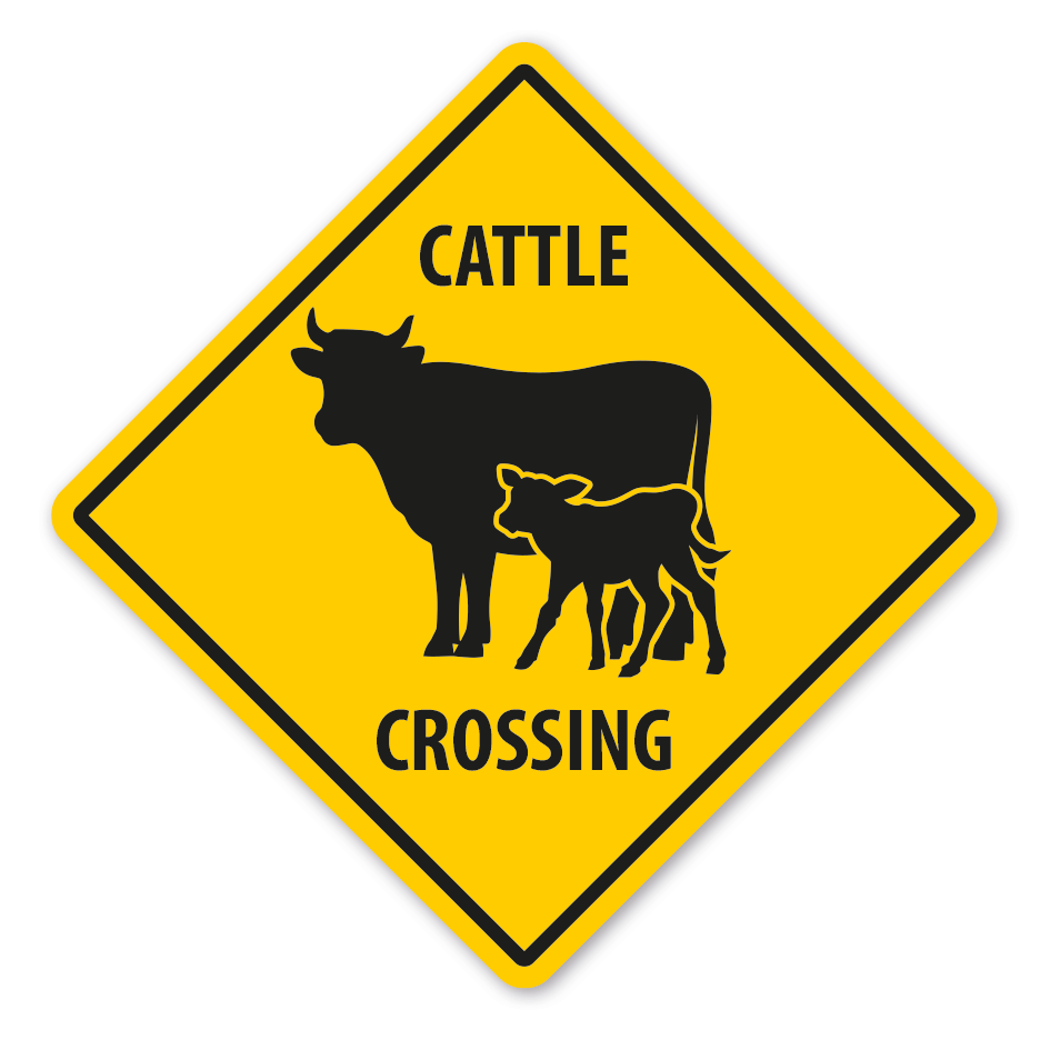 Warnschild Cattle (Rinder) crossing - mit und ohne Text