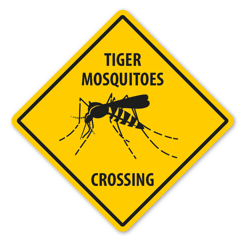 Warnschild Tiger Mosquitoes (Tigermücke) crossing - mit und ohne Text