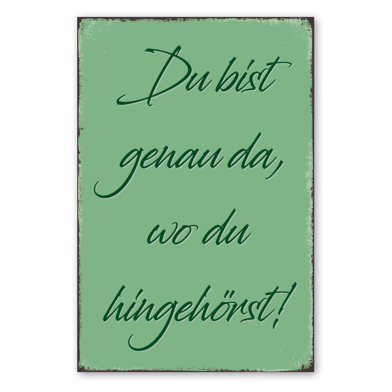 Retro Schild Du bist genau da, wo du hingehörst