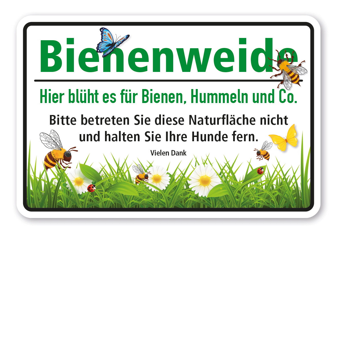 Hinweisschild Bienenweide - Hier blüht es für Bienen, Hummeln und Co. Bitte betreten Sie diese Naturfläche nicht.