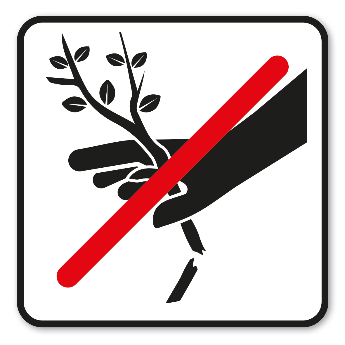 GF-P88 – Das Abbrechen von Ästen oder Beschädigen der Bäume ist verboten