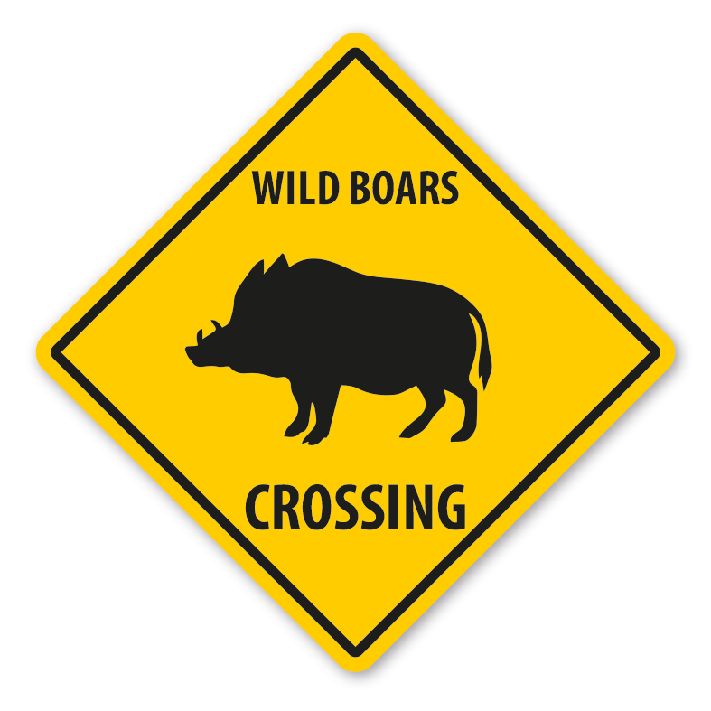 Warnschild Wild boars (Wildschweine) crossing - mit und ohne Text