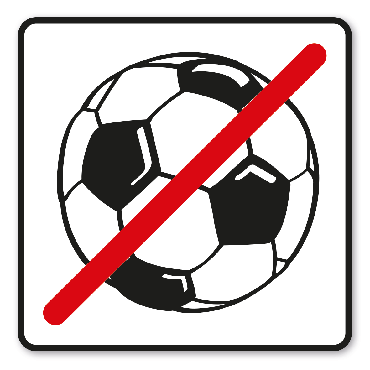 SP-01-P13 – Fußballspielen verboten