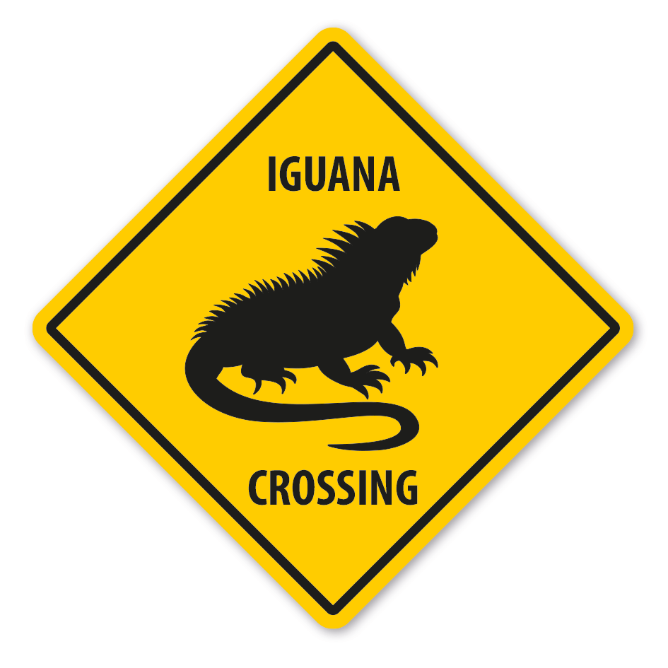 Warnschild Iguana (Leguan) crossing - mit und ohne Text