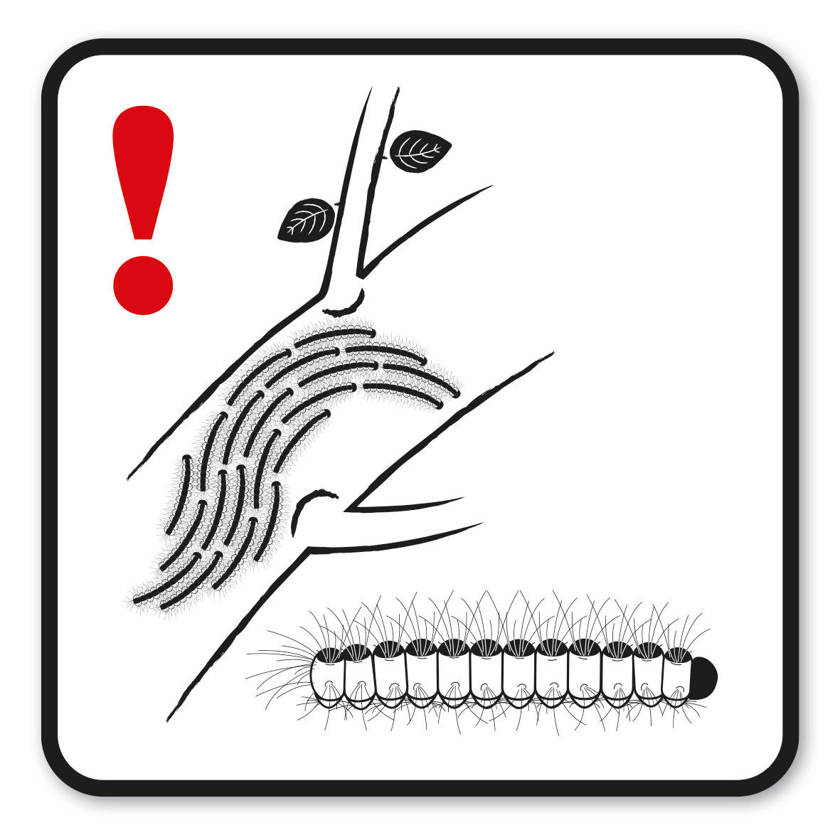 GF-P62 – Achtung, Eichenprozessionsspinner. Halten Sie sich von den Raupen und Nestern fern