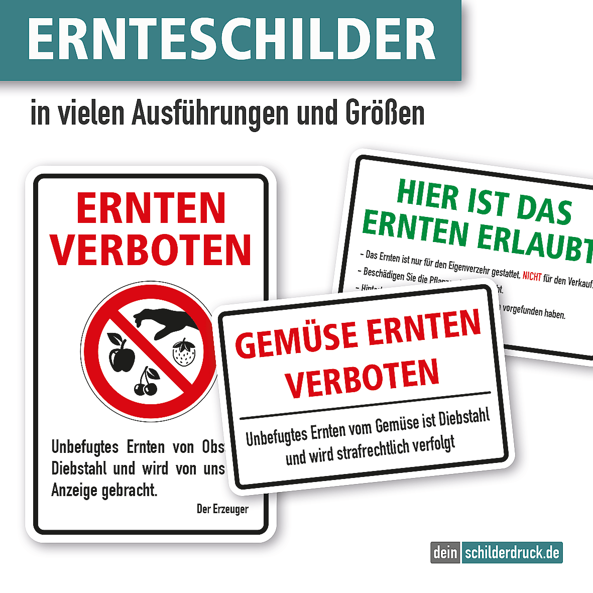 Fertige Motivbanner Frischer Spargel bei Fertige Motivbanner Frischer Spargel bei