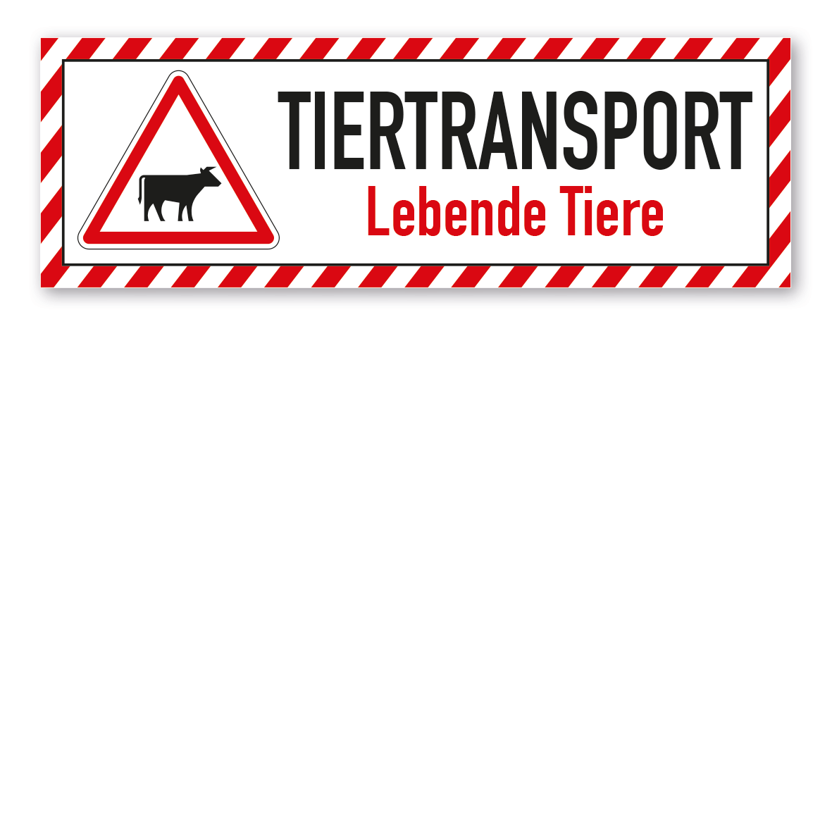 Schild für Tiertransporte -  Tiertransport - Lebende Tiere - Rind - mit roter Warnstreifenumrandung und Warnsymbol