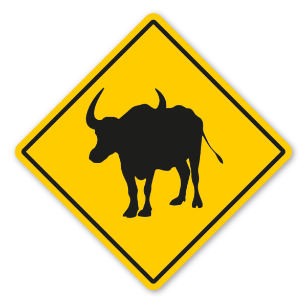 Australisches Warnschild / Verkehrsschild Achtung Büffel