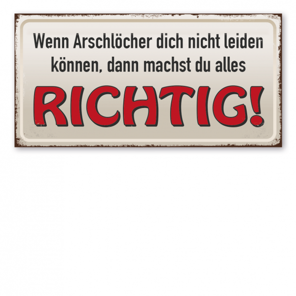 Retroschild / Vintage-Textschild Wenn Arschlöcher dich nicht leiden können, dann machst du alles richtig