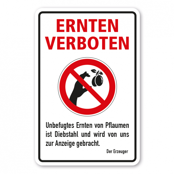 Ernteschild / Verbotsschild Ernten verboten - Unbefugtes Ernten von Pflaumen ist Diebstahl und wird von uns zur Anzeige gebracht – mit Verbotszeichen Pflaumen