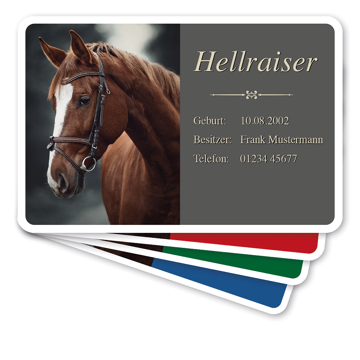 Boxenschild / Photoschild mit Ihrem Bild und Wunschtext in vier