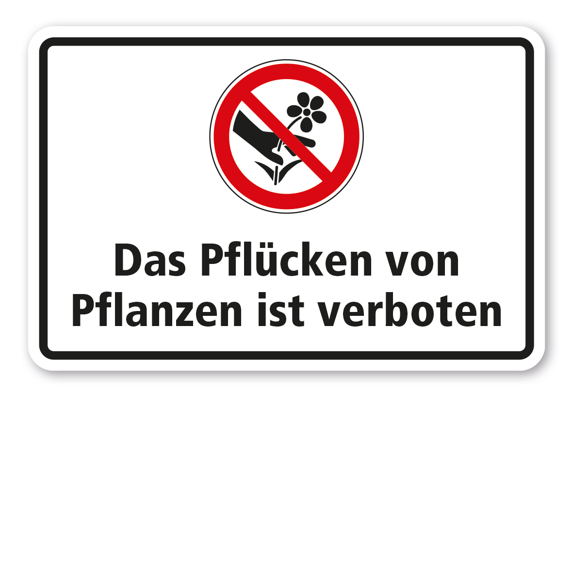 Verbotsschild / Kombinationsschild Das Pflücken von Pflanzen ist