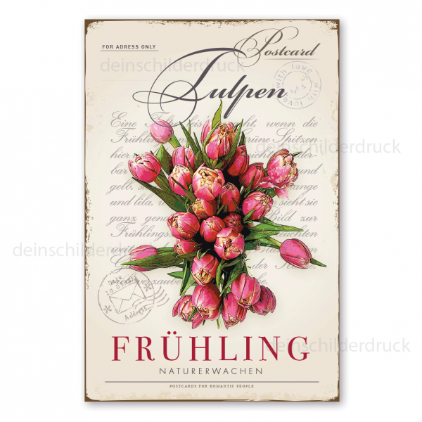Retro Schild im Stil einer nostalgischen Postkarte - Postcard - Tulpen - Frühling - Naturerwachen - auch mit Ihrem Wunschtext