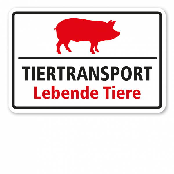 Hinweisschild Tiertransport - Lebende Tiere - mit Abbildung vom Schwein