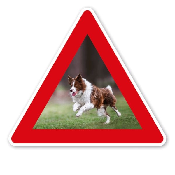 Verkehrsschild Achtung Hund - Hundefreilauffläche - mit Foto – VZ-PB-03