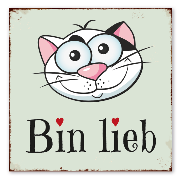 Retro Katzenschild Bin lieb