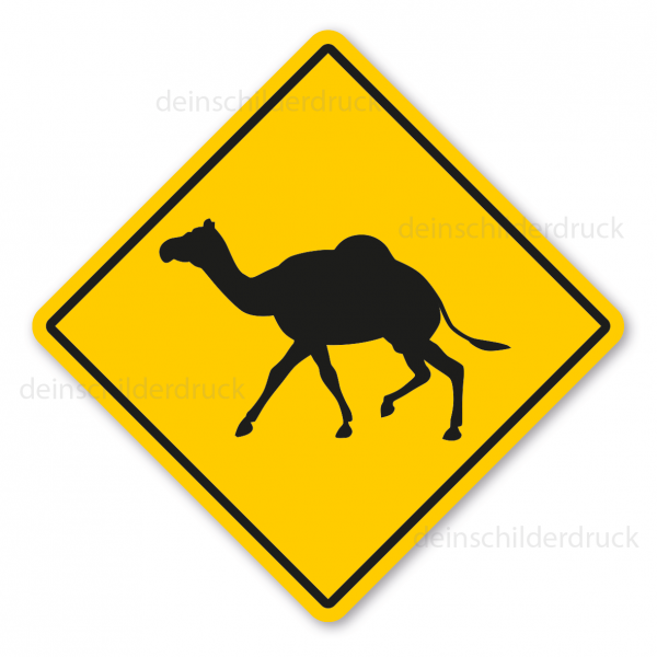 Australisches Warnschild / Verkehrsschild Achtung Dromedare (Kamele)