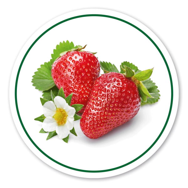 Verkaufsschild / Hofschild Erdbeeren – mit Abbildung – rund