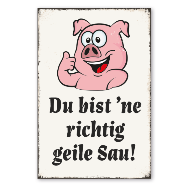 Retro Schild Du bist ne richtig geile Sau