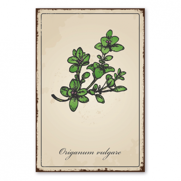 Retroschild / Vintage-Schild Kräuter und Gewürze - Origanum vulgare - Oregano