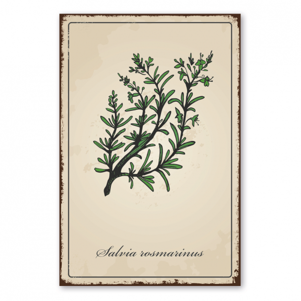 Retroschild / Vintage-Schild Kräuter und Gewürze - Salvia rosmarinus - Rosmarin