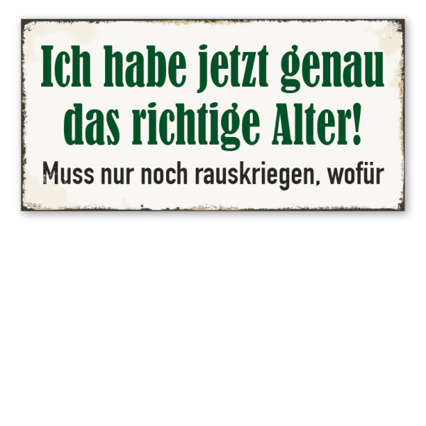 Retro Schild Ich habe jetzt genau das richtige Alter! Muss nur noch rauskriegen, wofür