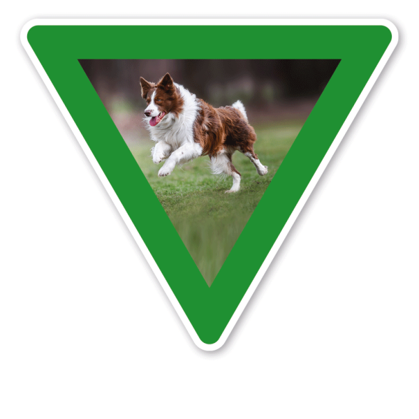 Verkehrsschild Vorfahrt Freilauffläche für Hunde - mit Foto - grün – VZ-PB-04