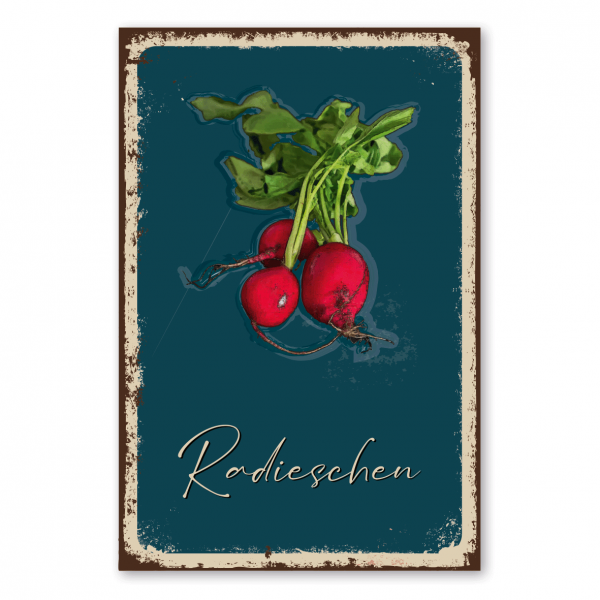 Retroschild / Vintage-Schild Radieschen