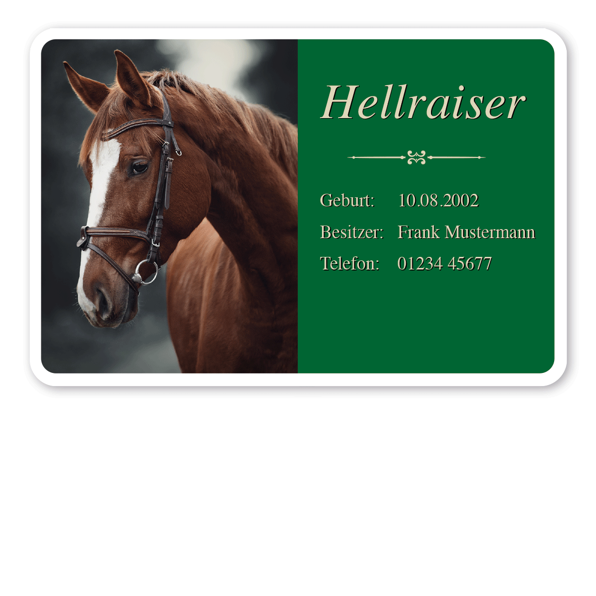 Boxenschild / Photoschild mit Ihrem Bild und Wunschtext in vier