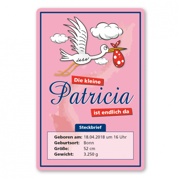 Geburtsschild / Steckbrief zur Geburt - Mädchen - mit individuellen Angaben - rosa Ausführung