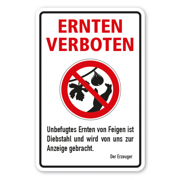 Verbotsschild Ernteschild - Unbefugtes Ernten von Feigen ist Diebstahl und wird von uns zur Anzeige gebracht - Kombi